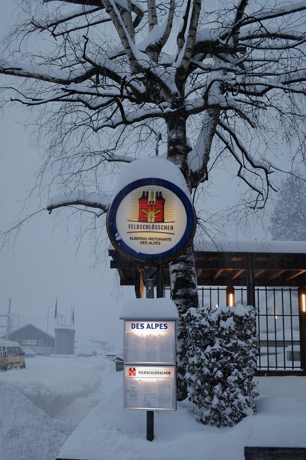 Estalagem Des Alpes - Restaurant & Pizzeria Airolo